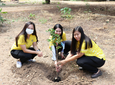 ร่วมกิจกรรมปลูกต้นไม้เฉลิมพระเกียรติพระบาทสมเด็จพระเจ้าอยู่หัว ... พารามิเตอร์รูปภาพ 3