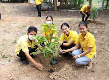 ร่วมกิจกรรมปลูกต้นไม้เฉลิมพระเกียรติพระบาทสมเด็จพระเจ้าอยู่หัว ... พารามิเตอร์รูปภาพ 4