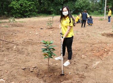 ร่วมกิจกรรมปลูกต้นไม้เฉลิมพระเกียรติพระบาทสมเด็จพระเจ้าอยู่หัว ... พารามิเตอร์รูปภาพ 6