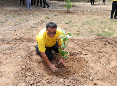 ร่วมกิจกรรมปลูกต้นไม้เฉลิมพระเกียรติพระบาทสมเด็จพระเจ้าอยู่หัว ... พารามิเตอร์รูปภาพ 7