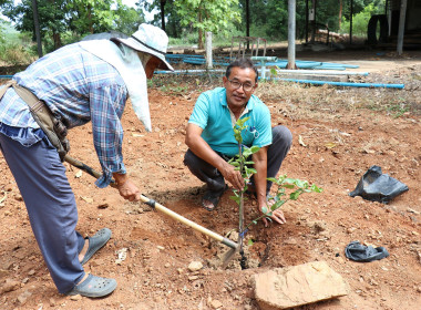 ร่วมกิจกรรมปลูกต้นไม้เฉลิมพระเกียรติพระบาทสมเด็จพระเจ้าอยู่หัว ... พารามิเตอร์รูปภาพ 8