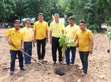 ร่วมกิจกรรมปลูกต้นไม้เฉลิมพระเกียรติพระบาทสมเด็จพระเจ้าอยู่หัว ... พารามิเตอร์รูปภาพ 11