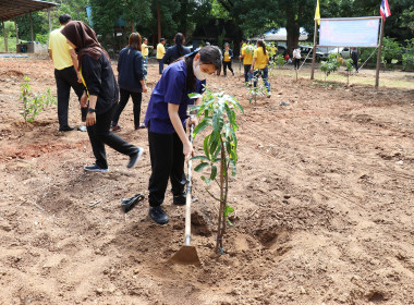 ร่วมกิจกรรมปลูกต้นไม้เฉลิมพระเกียรติพระบาทสมเด็จพระเจ้าอยู่หัว ... พารามิเตอร์รูปภาพ 12