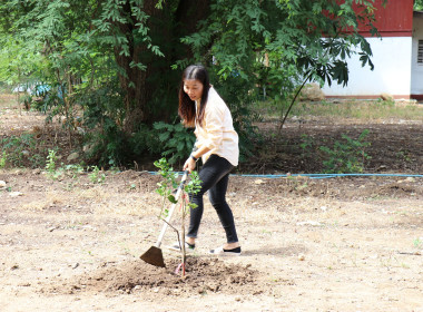 ร่วมกิจกรรมปลูกต้นไม้เฉลิมพระเกียรติพระบาทสมเด็จพระเจ้าอยู่หัว ... พารามิเตอร์รูปภาพ 13