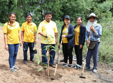 ร่วมกิจกรรมปลูกต้นไม้เฉลิมพระเกียรติพระบาทสมเด็จพระเจ้าอยู่หัว ... พารามิเตอร์รูปภาพ 15