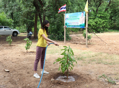 ร่วมกิจกรรมปลูกต้นไม้เฉลิมพระเกียรติพระบาทสมเด็จพระเจ้าอยู่หัว ... พารามิเตอร์รูปภาพ 17