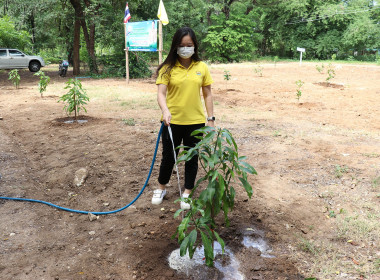 ร่วมกิจกรรมปลูกต้นไม้เฉลิมพระเกียรติพระบาทสมเด็จพระเจ้าอยู่หัว ... พารามิเตอร์รูปภาพ 18