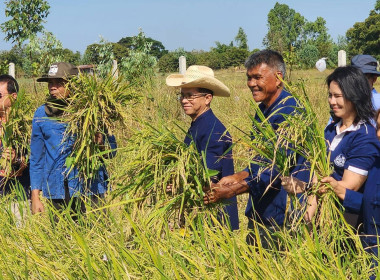 ร่วมเป็นเกียรติในพิธีเปิดกิจกรรม “สืบสานประเพณีหว่านวันแม่ ... พารามิเตอร์รูปภาพ 3