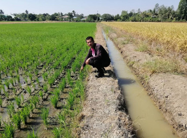 ตรวจเยี่ยมสมาชิกของสหกรณ์การเกษตรวังหว้า จำกัด พารามิเตอร์รูปภาพ 3