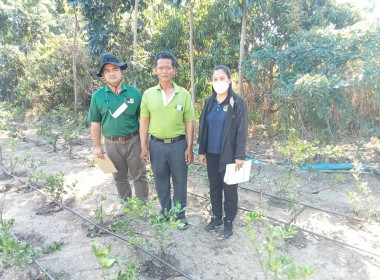 ลงพื้นที่ตรวจเยี่ยมสมาชิกสหกรณ์การเกษตรเดิมบางนางบวช จำกัด พารามิเตอร์รูปภาพ 2