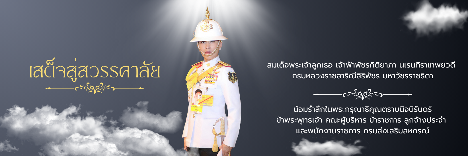 สมเด็จพระเจ้าลูกเธอ เจ้าฟ้าพัชรกิติยาภาฯ